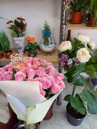 Flowers Shop - Obzor