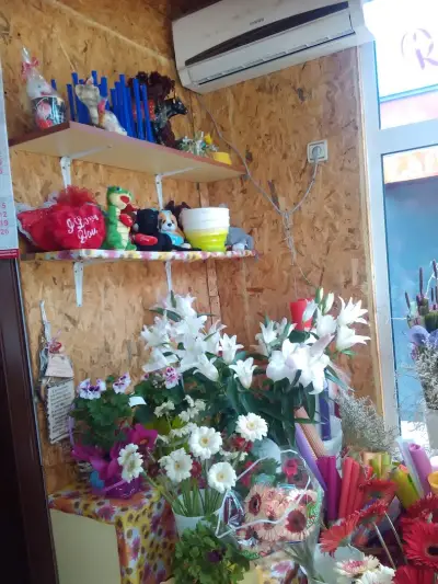 Розите