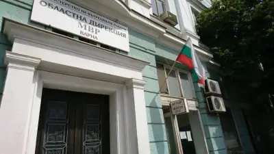 Сектор „Миграция“ към МВР