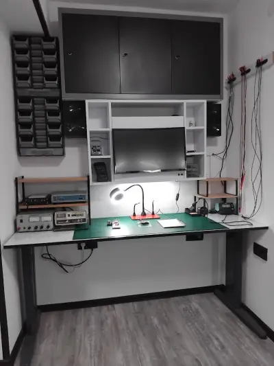 Electronic Evolution