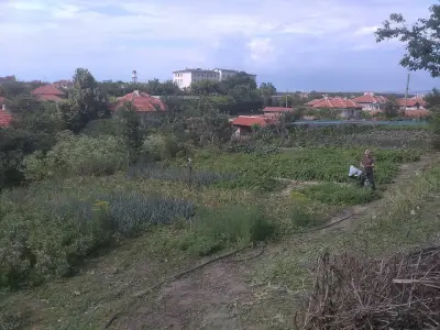 д-р Христо Бабуров