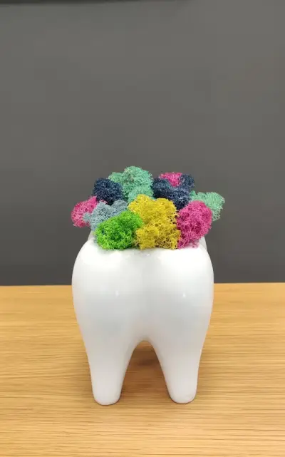 Дентална клиника ЗЪБОРАН - Zaboran dental clinic