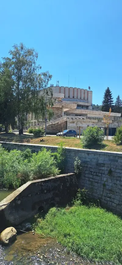 Читалище Виделина