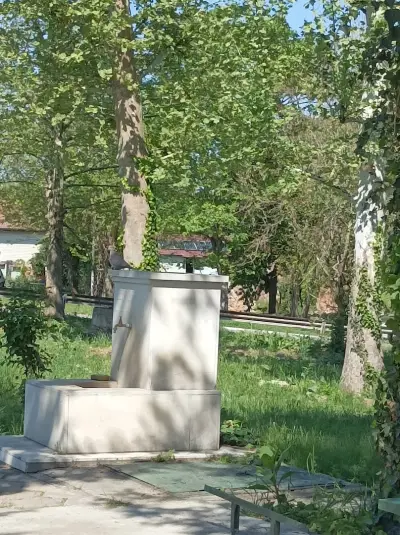 ОБЩИНА ДОЛНИ ДЪБНИК