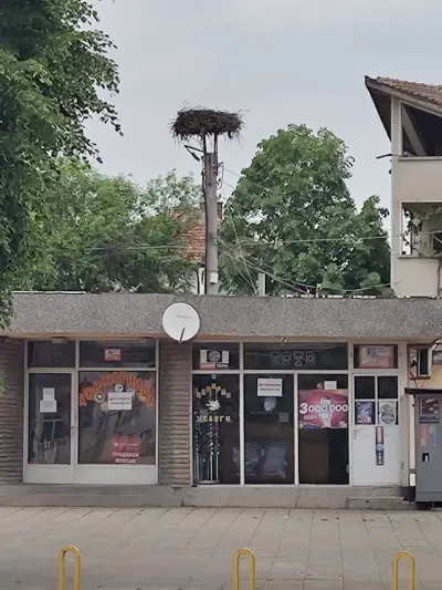 ОБЩИНА ДОЛНИ ДЪБНИК