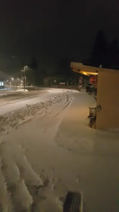 Кметство Загориче