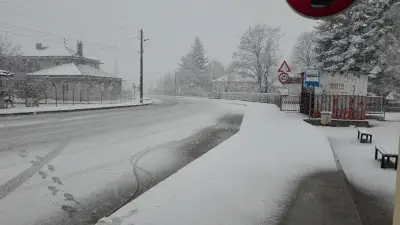 Кметство Загориче
