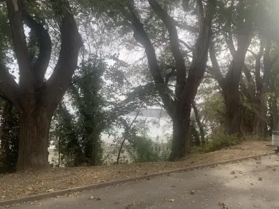 Панорамни пейки