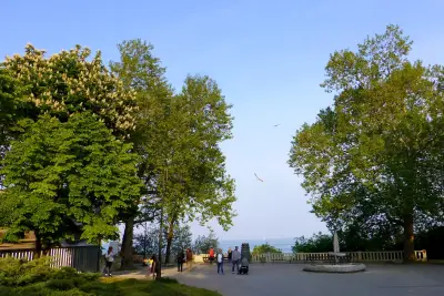 Панорамни пейки