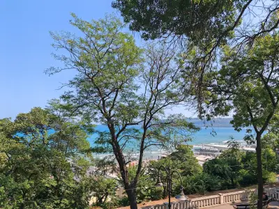 Панорамни пейки