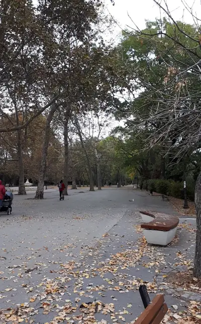 Панорамни пейки