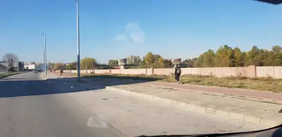 Автостъкла Кобра