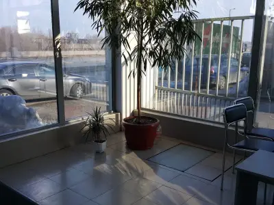 Автостъкла Кобра
