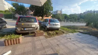 Rent a car Маджести
