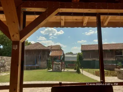 КРУШУНСКИ КЪТ ТЕЯ