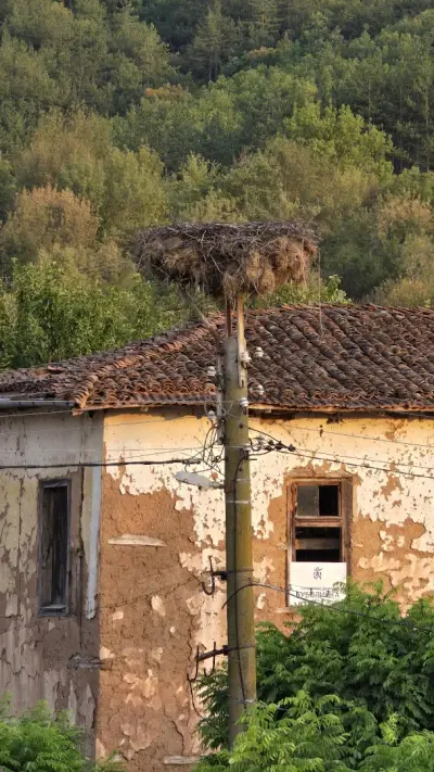Еко Къща за гости Мандрица