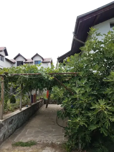 Тракийската къща за гости | Thracian guest house