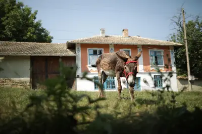 Wild Thyme Organic Farm & Eco Retreat