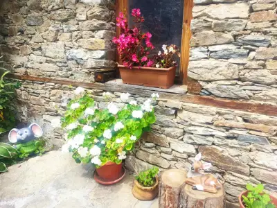 Stone house (Каменната къща)