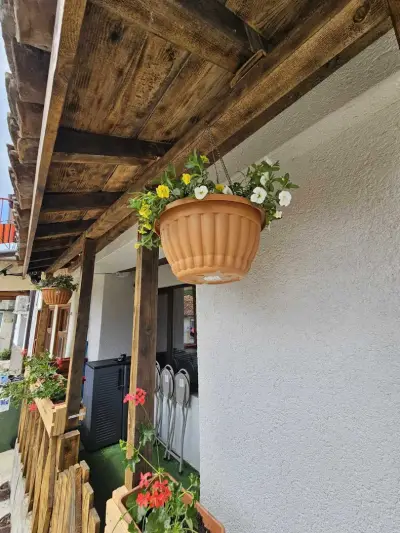 Biscuit cosy mini house in old town