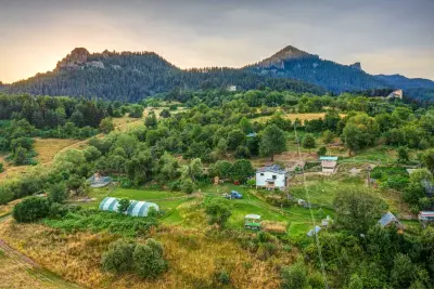Вила за гости В гората