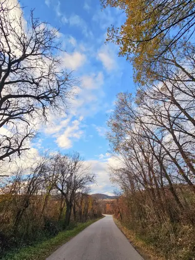 Къща за гости "Ялово"