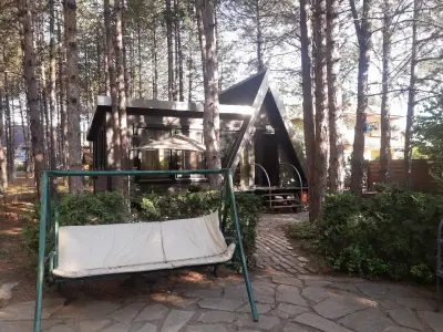 В гората до морето