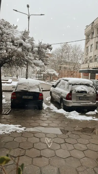 Алианц Застраховане
