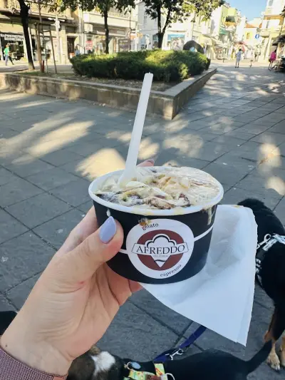 AFREDDO Gelateria