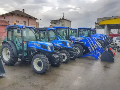Анимекс