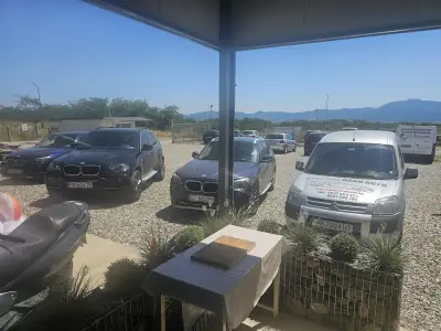 Dako Auto