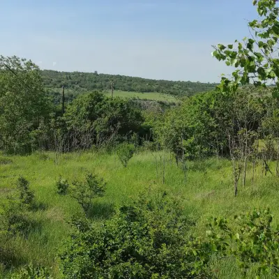 Бялата къща село Пепелина