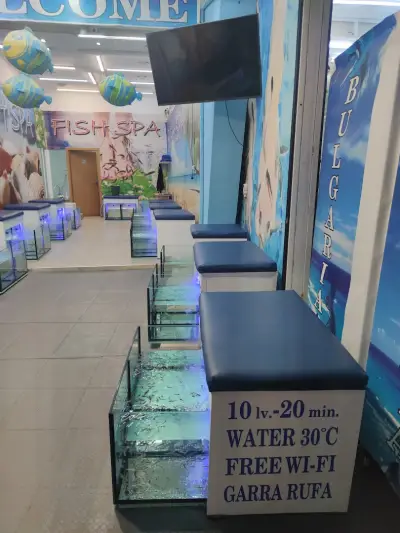 FISH SPA Heaven