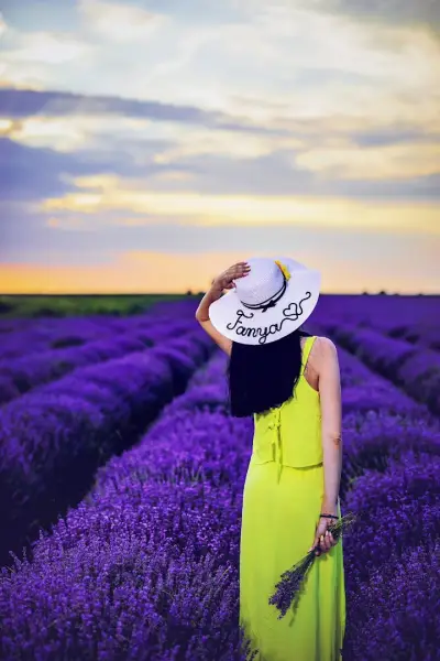 NOVKOV PHOTOGRAPHY Studio
