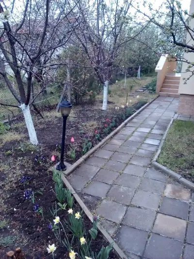 Вилна зона „Боровете“