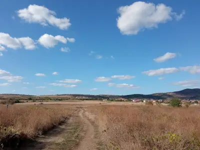 Вилна зона „Боровете“