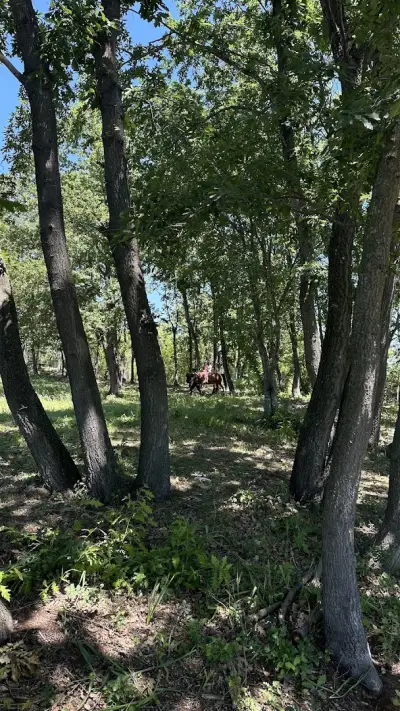 Varna Ranch