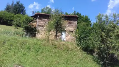 Магазин за хранителни стоки