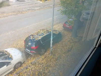 Техно СИПО
