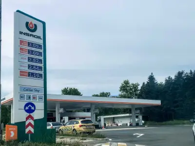 INSA Oil