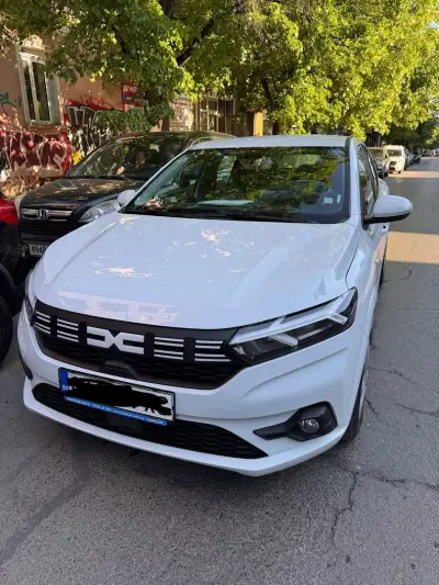 Budgy rent a car