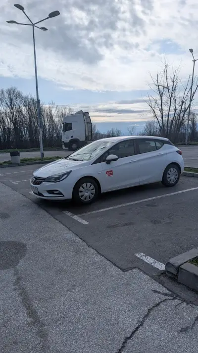 Budgy rent a car