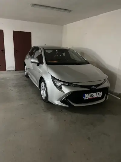 Budgy rent a car