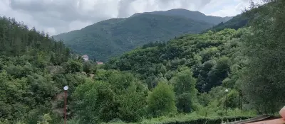 Хотел "Форест Спринг"