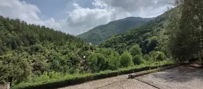 Хотел "Форест Спринг"
