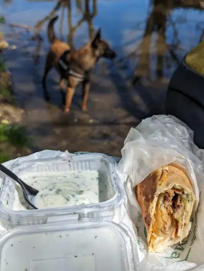 Дюнер Мимас