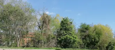 Плод и зеленчук "Парчевич"