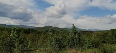 Плод и зеленчук "Парчевич"