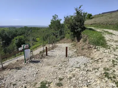 Марков кръст