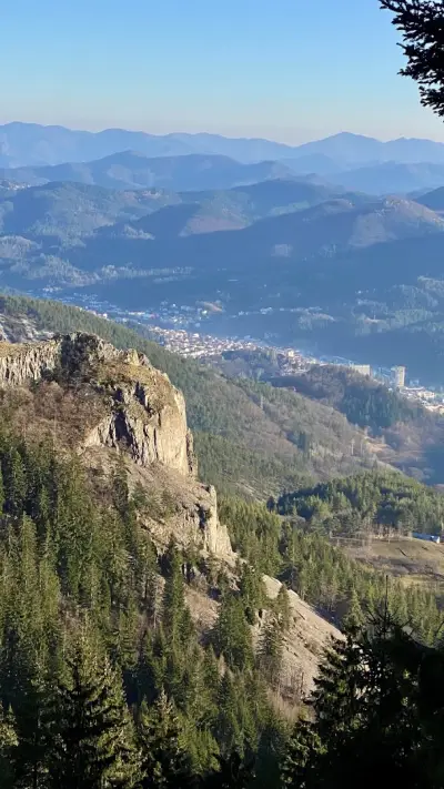 Алпийски тролей